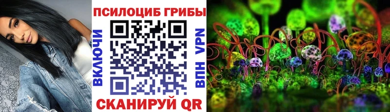 Псилоцибиновые грибы прущие грибы  цена   Нерехта 